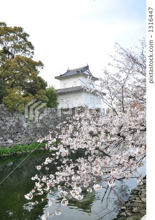 大分城堡遺址公園府中城堡 大分城堡遺址公園府中城堡 1316447