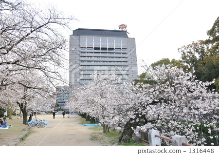 大分縣政府 1316448