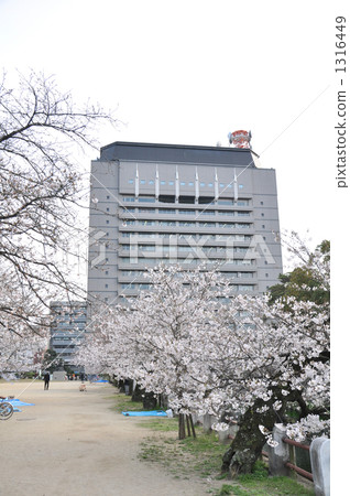 大分縣政府 大分縣政府 1316449