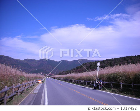 仙石原的Susuki 1317452