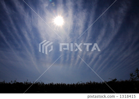 vertebratus, shirasu cloud, cirrus 1318415