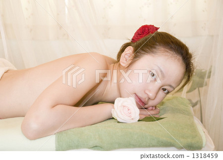 Beauty Beauty 1318459