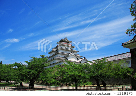 敦賀城堡 敦賀城堡 1319175