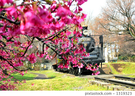 Spring SL Spring SL 1319323