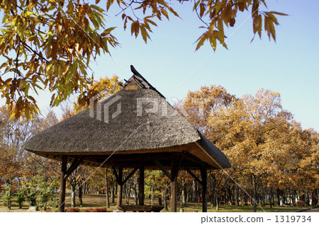 晚秋河中島戰場 1319734