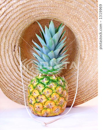 菠蘿 1319969
