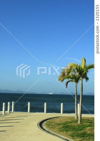 Okinawa  1320155