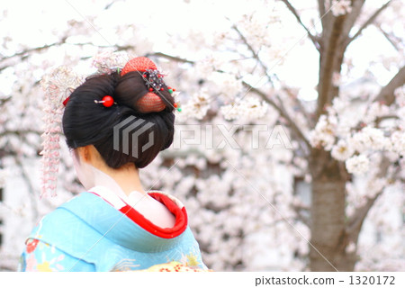 櫻花和舞子 1320172