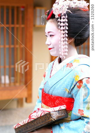Maiko Maiko 1320260