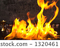 flame  1320461