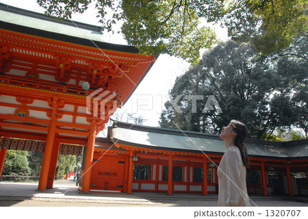 地面 仰視 仰望 1320707