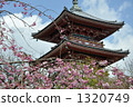 清水寺 1320749
