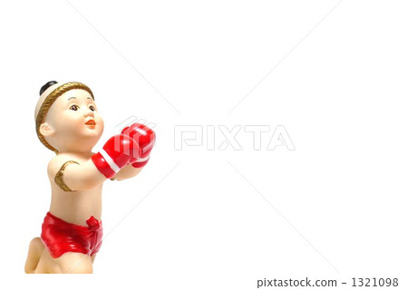 Boy boxer 1321098
