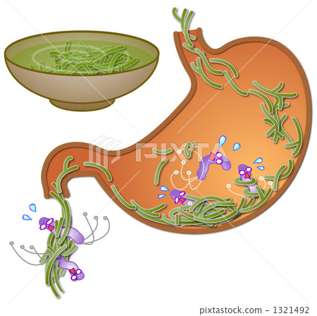 Mozuku · Mekabu VS Helicobacter pylori Mozuku · Mekabu VS Helicobacter pylori 1321492
