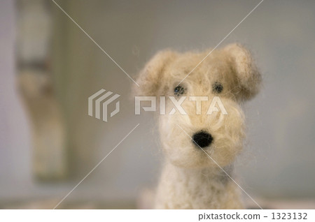 felt, dog, dogs 1323132