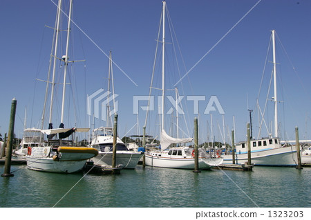 Harbor and Yacht 1323203