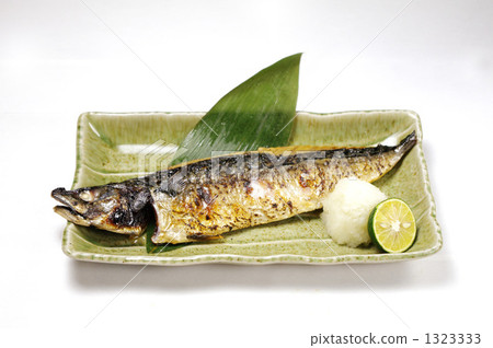 鯖魚 1323333