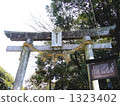 Takiyama Toshogu Shrine Torii 1323402