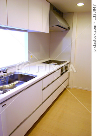 新建的廚房。 1323947