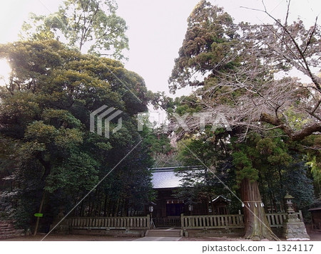 Kiryu's power spot Kamo shrine 1324117