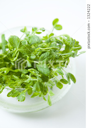 Mamenae Mamenae 1324222