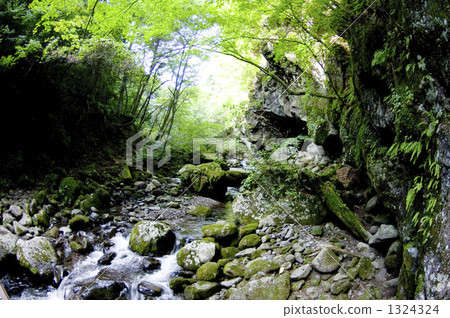 Kawamata River Higashizawa Valley of Kiyosato Plateau in Nagano Prefecture Kawamata River Higashizawa Valley of Kiyosato Plateau in Nagano Prefecture 1324324