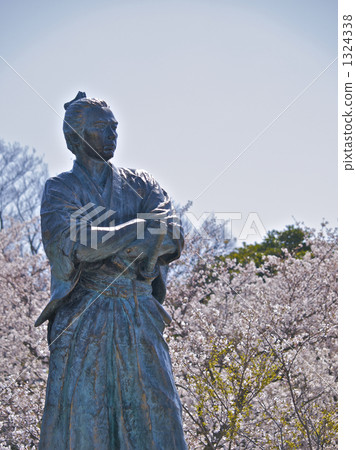 盛開的櫻花和坂本龍馬2 盛開的櫻花和坂本龍馬2 1324338
