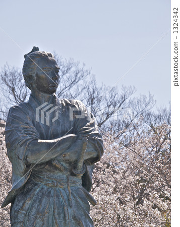 盛開的櫻花和坂本龍馬3 盛開的櫻花和坂本龍馬3 1324342