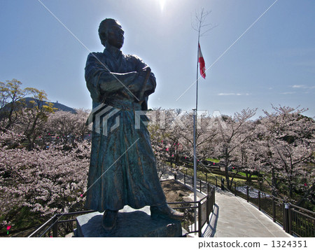 坂本龍馬雕像和櫻花 1324351