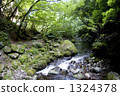 Kawamata River Higashizawa Valley of Kiyosato Plateau in Nagano Prefecture 1324378