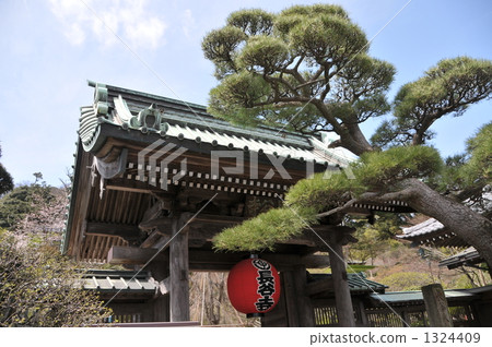 Hase-dera寺廟的山門和紅色燈籠 Hase-dera寺廟的山門和紅色燈籠 1324409