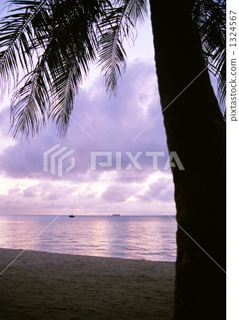 黎明時分的海灘 1324567