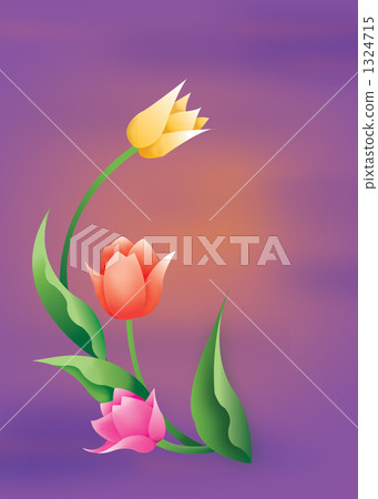 Tulip 1324715