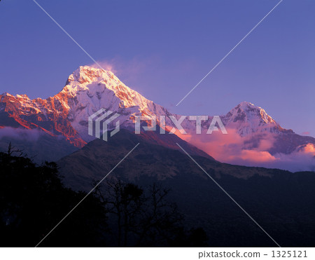 Annapurna South在Morgen Roth染色 Annapurna South在Morgen Roth染色 1325121