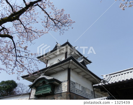 金澤城堡 金澤城堡 1325439