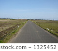 straight line straight line 1325452