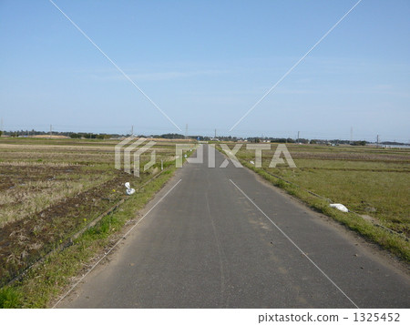 straight line straight line 1325452
