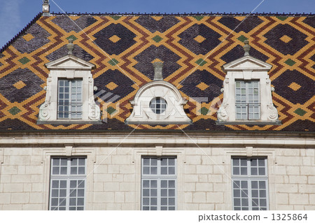 Hotelieux of Beaune 1325864