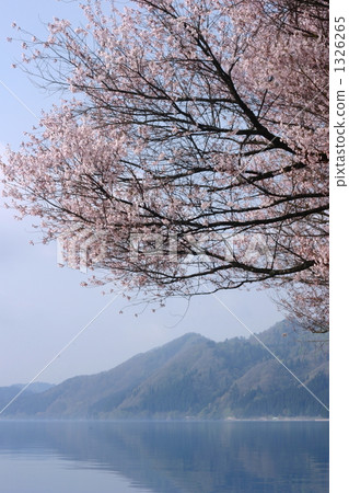 Spring of Tazawako 1326265