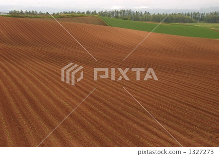 豐富的農田 1327273