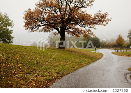 落入多洛米蒂山脈 1327560