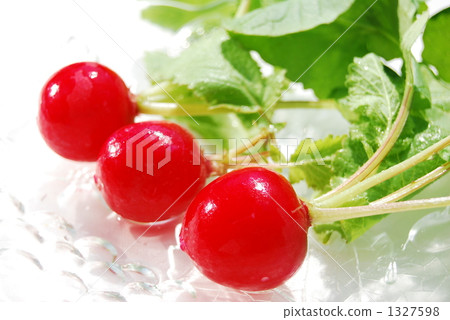 可愛的蘿蔔 1327598