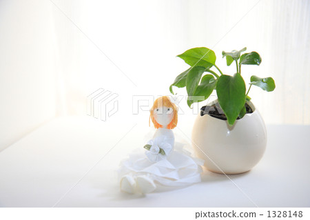 室內盆栽 觀葉植物 洋娃娃 1328148