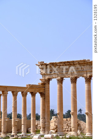 Palmyra remains 1328195