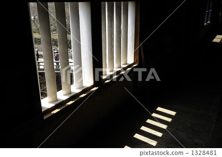 light light 1328481
