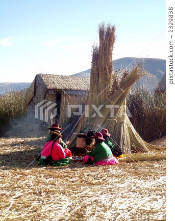 totora, schoenoplectus tabernaemontani, straw-thatching 1329838