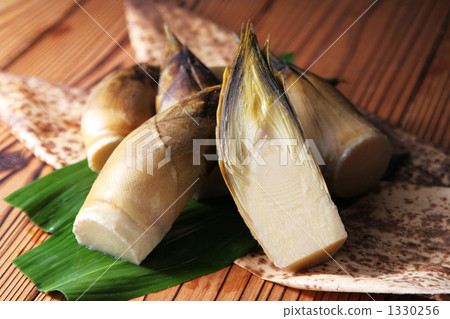 Spring bamboo shoot cross section 1330256