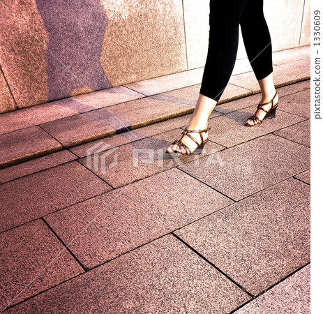 mule, foot, feet 1330609