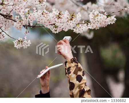 是的奶酪 1330882