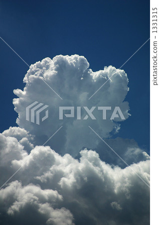 新宿冰天空在市中心 1331315